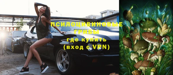 винт Алексин