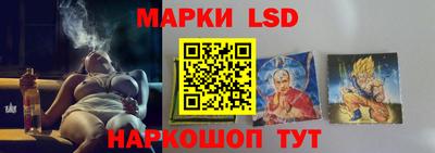 прущие грибы Кандалакша
