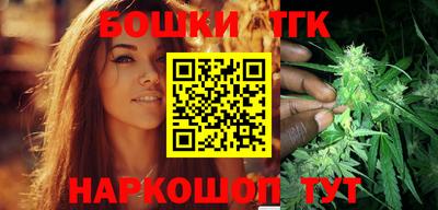 гидропоника Камышлов