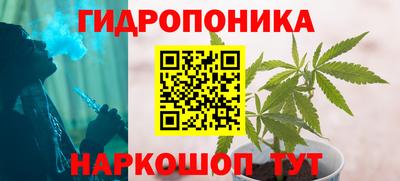 прущие грибы Кандалакша