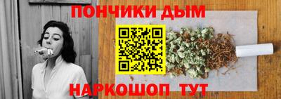 гидропоника Камышлов