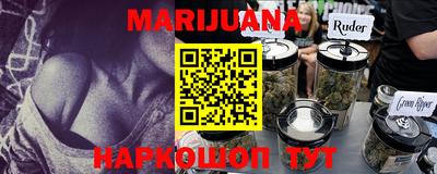 прущие грибы Кандалакша