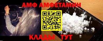 прущие грибы Кандалакша