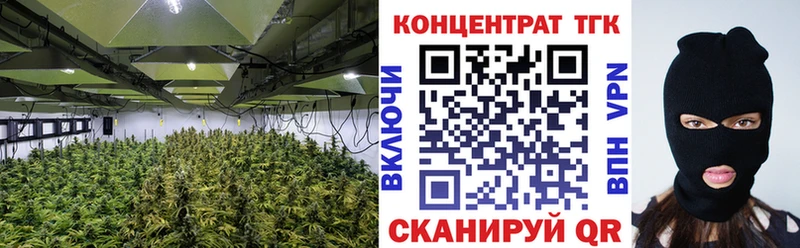 Дистиллят ТГК THC oil  ссылка на мегу сайт  Лесной  наркота 