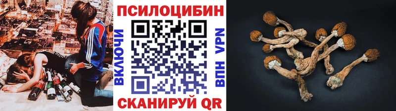 kraken ССЫЛКА  Лесной  Псилоцибиновые грибы Cubensis 