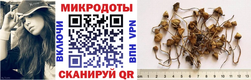 Псилоцибиновые грибы MAGIC MUSHROOMS Лесной