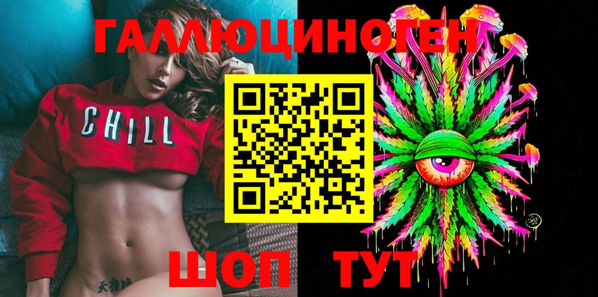 Лесной  Псилоцибиновые грибы Psilocybine cubensis  Вход с VPN 